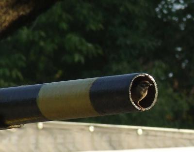 Прикрепленное изображение: 002.jpg